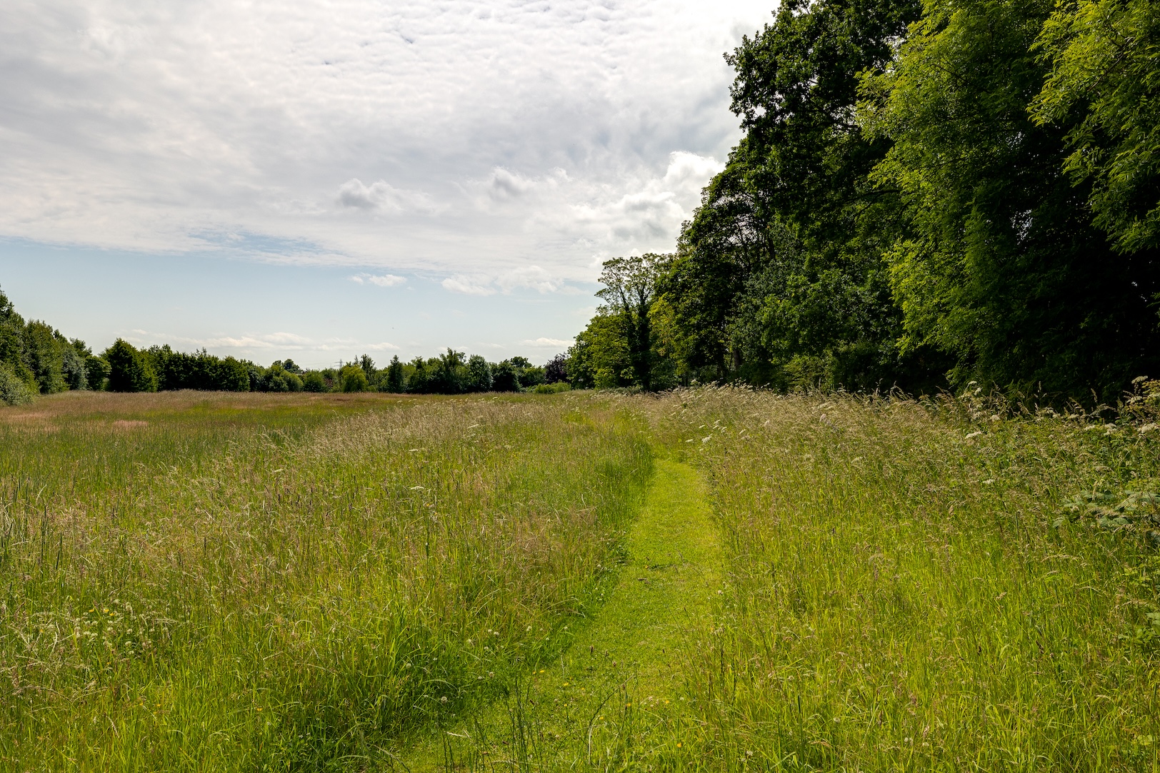 Townfield Lane, Mollington, CH1 - Currans Homes, Chester